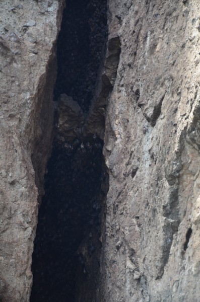 Honeymoon in St. Lucia 2011-09-04 276