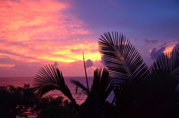 Honeymoon in St. Lucia 2011-09-04 404