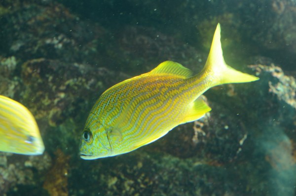 JBD_5164